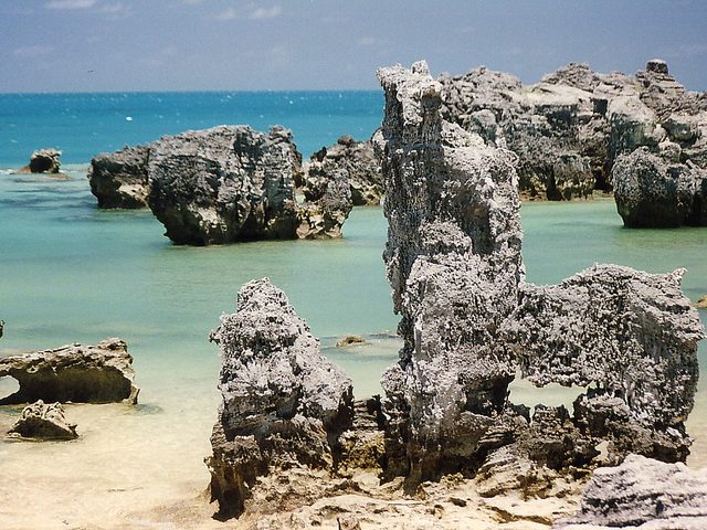 Tobacco Bay