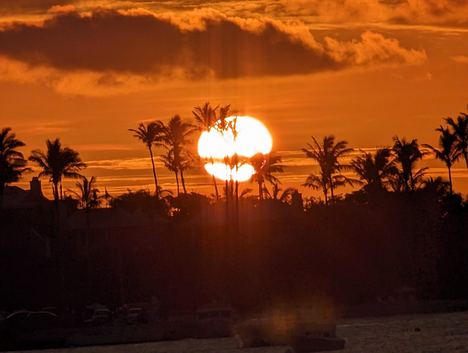 Sunset through the palms